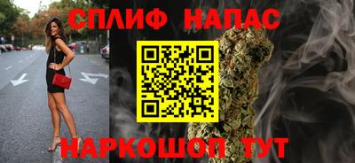 крисы Будённовск