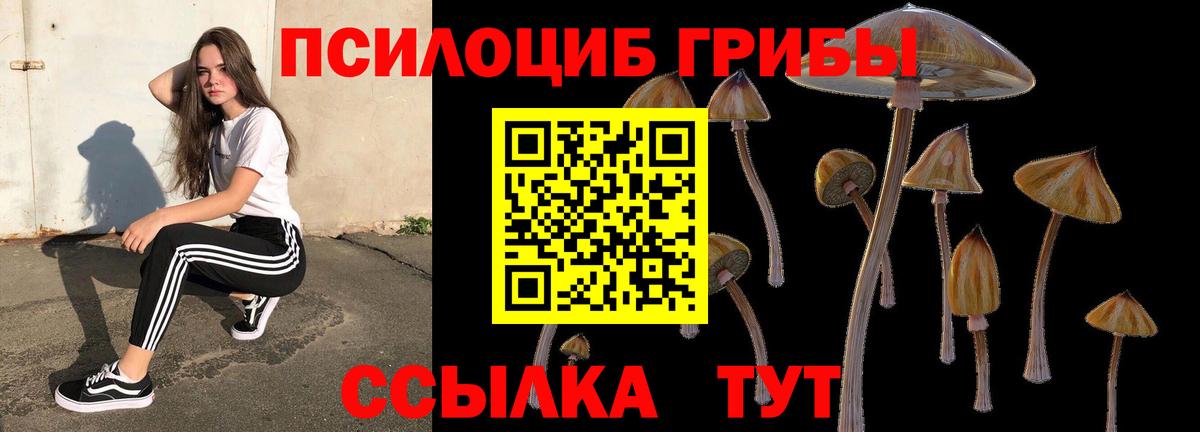 Мценск  Галлюциногенные грибы GOLDEN TEACHER  Вход с VPN 